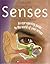 Understanding Your Senses