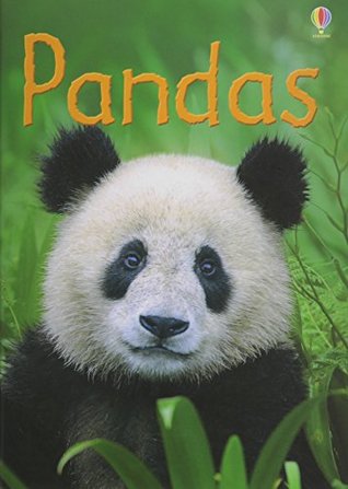 Pandas (Usborne Beginners)