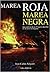 Marea roja, marea negra. Una crónica de la IIª Guerra Mundial en el norte de España