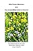 Wild Flower Meadows and The...