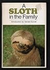 A Sloth in the Family by Hermann Tirler A Sloth in the Family by Hermann Tirler