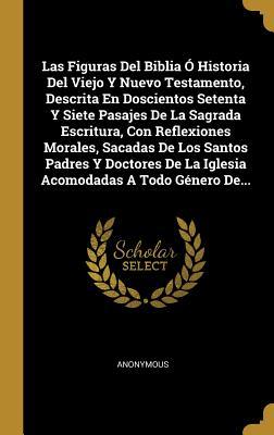 Las Figuras Del Biblia Ó Historia Del Viejo Y Nuevo Testamento, Descrita En Doscientos Setenta Y Siete Pasajes De La Sagrada Escritura, Con ... A Todo Género De... (Spanish Edition)