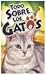 Todo sobre los gatos