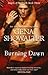 Burning Dawn (Angels of the Dark, Book 3)