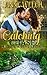 Catching Chase (Heart & Soul #5)