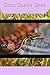 Corn Snake Care: The Comple...