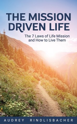 The Mission Driven Life (ebook)