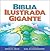 Biblia ilustrada gigante by David R. Helm