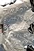 Tinfoil Butterfly