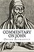Commentary on John