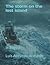 The storm on the lost island by Luis Acevedo Acevedo