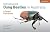 Introduced Dung Beetles in Australia by Jane Wright
