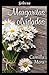 Margaritas olvidadas (Corazones en Manhattan 6) (Spanish Edition)