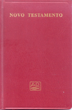Novo Testamento: a Boa Nova de Nosso Senhor e Salvador Jesus Cristo: Evangelhos, Actos dos Apóstolos, Epístolas, Apocalipse - com indicação de leituras para cada dia