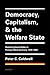 Democracy, Capitalism, and the Welfare State by Peter C. Caldwell