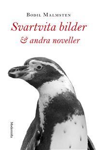 Svartvita bilder & andra noveller