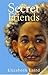 Secret Friends (Hodder stor...