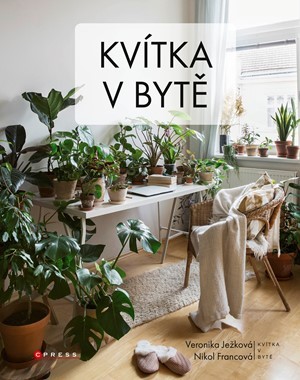 Kvítka v bytě (Hardcover)