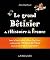 Grand bêtisier de l'Histoire de France (Hors collection Histoire) (French Edition)