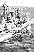 The Bismarck Folly part 3: ...