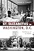 St Elizabeths in Washington, D.C. Architecture of an Asylum (Landmarks) by Sarah A. Leavitt