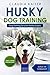 Husky Training by Claudia Kaiser