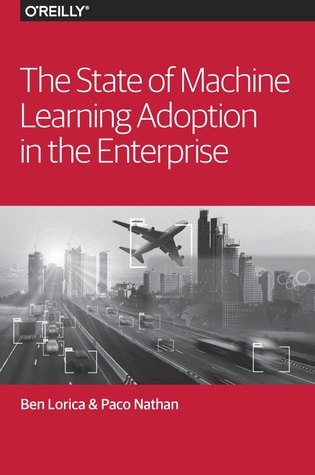 The State of Machine Learning Adoption in the Enterprise (ebook)