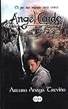Angel Caido