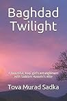 Baghdad Twilight by Tova Murad Sadka