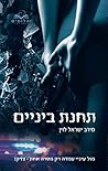 תחנת ביניים (דואט התחנה, #1)