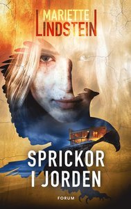 Sprickor i jorden (Pilgrimsfalkens väktare #2)