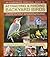 An Illustrated Practical Guide to Attracting and Feeding Backyard Birds: The Complete Book of Bird Feeders, BIrd Tables, Birdbaths, Nest Boxes, and Garden Bird-Watching