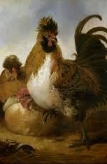 El gallo de la viuda del coronel (Audiobook)