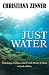 Just Water: Theology, Ethics, and Fresh Water Crises (Ecology and Justice)