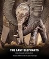 The Last Elephants
