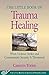 Little Book of Trauma Healing: When Violence Striked And Community Security Is Threatened (Little Books of Justice & Peacebuilding)