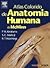 Atlas Colorido De Anatomia Humana De McMinn by Ralph T. Hutchings