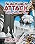 Blackjack Attack: Playing t...