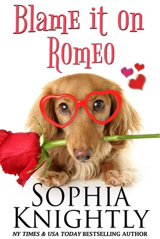 Blame it on Romeo (Beach Read #2)