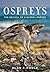 Ospreys: The Revival of a Global Raptor