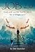 Job 2.0: God and Lucifer ba...