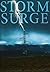 Storm Surge (EMP Survival i...