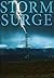 Storm Surge (EMP Survival in a Powerless World, #12)