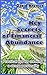 Key Secrets of Financial Abundance by David Kremer