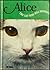 Alice, the Cat Who Was Hounded