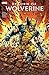 Return of Wolverine