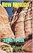 New Mexico by Lea Rawls