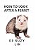 How to Look After a Ferret by Suzy Lin