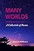 Many Worlds by James A. Heffernan