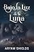 Bajo la Luz de la Luna by Aryam Shields